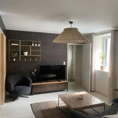 Maison Neuf: Spacious 9-room Retreat With Terrace * Reims